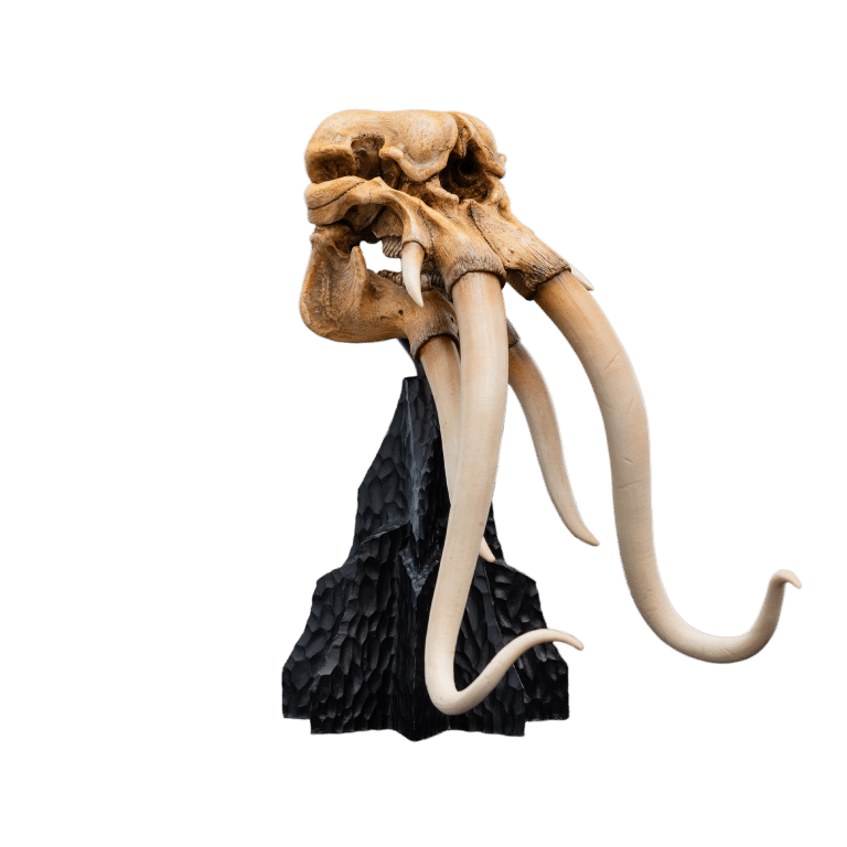 SKULL OF A MÛMAK™