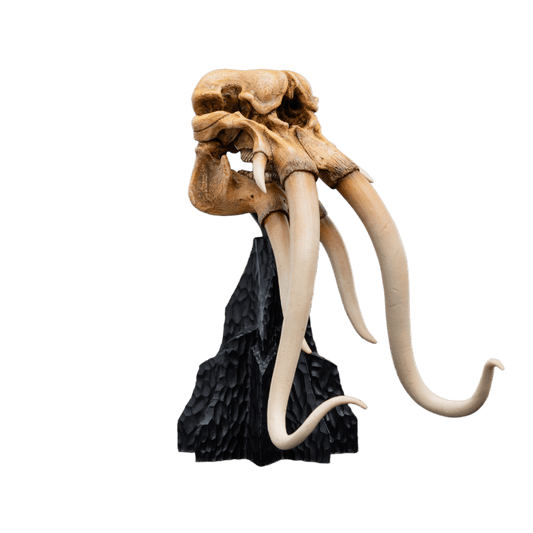 SKULL OF A MÛMAK™