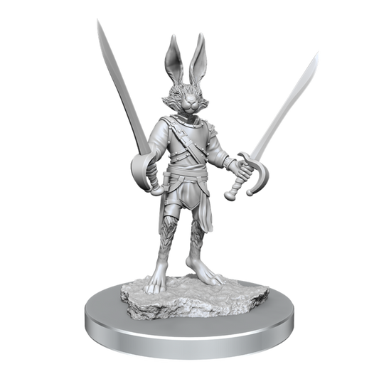 D&D Nolzurs Marvelous Unpainted Miniatures Harengon Rogues