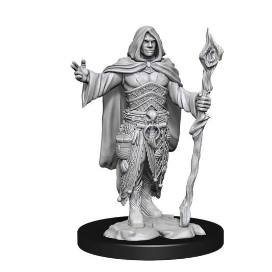 D&D Nolzurs Marvelous Unpainted Miniatures Human Druid Male